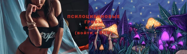 ALPHA PVP Баксан
