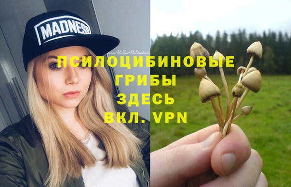 ALPHA PVP Баксан
