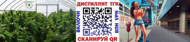 ТГК THC oil Саянск