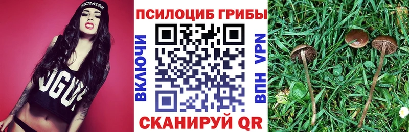 сколько стоит  blacksprut как зайти  Псилоцибиновые грибы мицелий  это формула  Саянск 